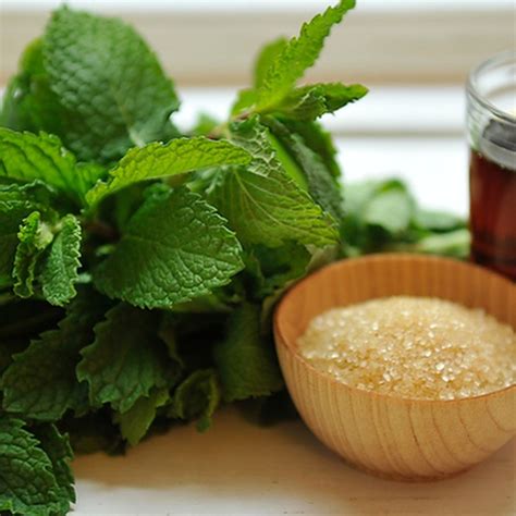 best-mint-sauce-for-lamb-recipe-how-to-make-mint image