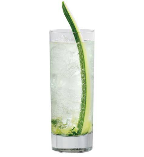 cucumber-collins-cocktail-recipe-saqcom image