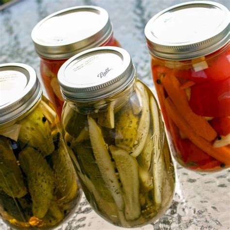 easy-homemade-pickles-recipe-the-bossy-kitchen image