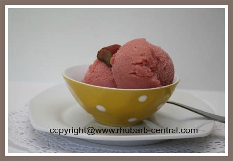 rhubarb-sorbet-recipes-sherbet image