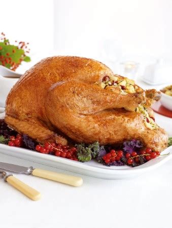 recipe-roast-turkey-stuffed-with-apple-sage-stuffing image