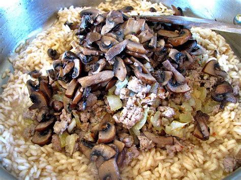 italian-sausage-and-mushroom-risotto-christinas-cucina image