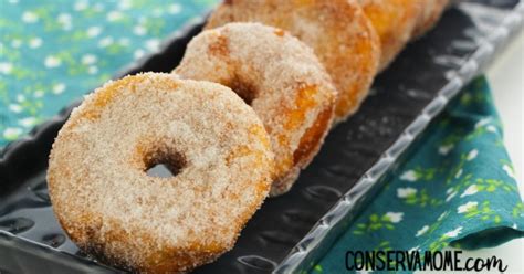 easy-5-ingredient-churro-donuts-the-perfect image
