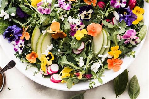 22-edible-flower-recipes-for-spring-brit-co image
