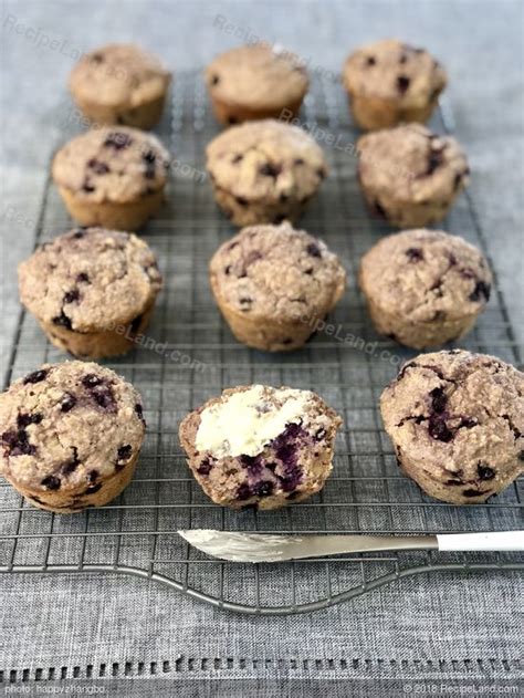 applesauce-oat-bran-muffins-recipe-recipelandcom image
