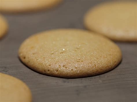 crunchy-chewy-honey-cookies-honest-cooking image