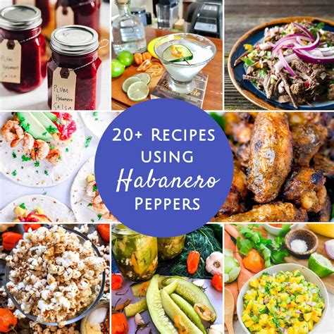24-recipes-using-habanero-peppers-that-really-bring image