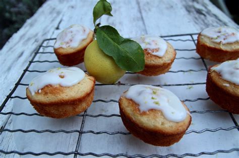 lime-friands-the-quirk-and-the-cool image