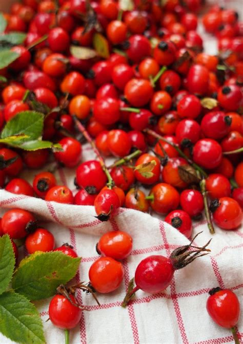 traditional-scottish-rosehip-jelly-only-4-ingredients image
