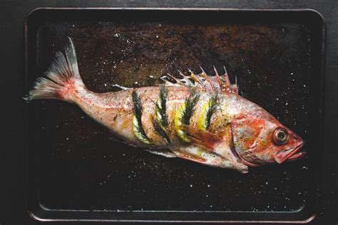 whole-roast-fish-with-lemon-and-fennel-edible-san image