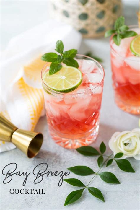 the-best-bay-breeze-drink-recipe-easy-tropical-cocktail image