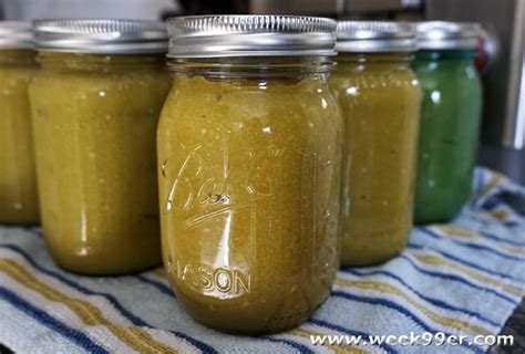green-tomato-and-tomatillo-salsa-canning image