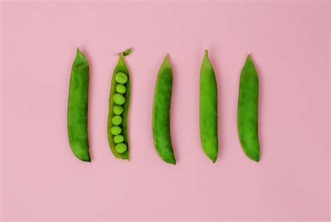 what-are-peas-the-spruce-eats image
