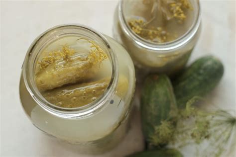 homemade-fermented-pickle-recipe-the-prairie image