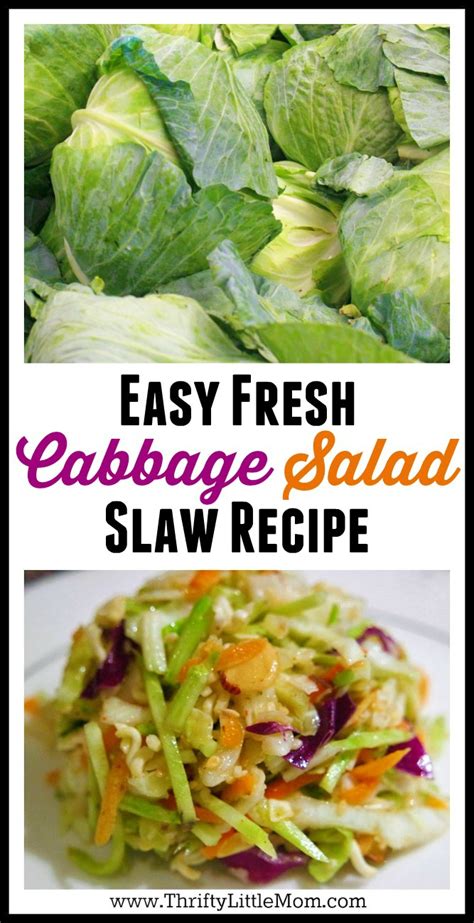 easy-fresh-cabbage-salad-coleslaw-recipe-thrifty image