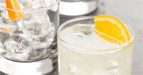 10-best-gin-club-soda-recipes-yummly image