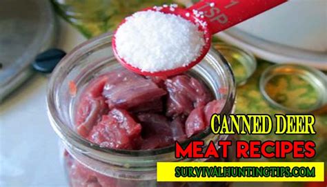 best-canned-deer-meat-recipes-to-whip-up-quick-easy image