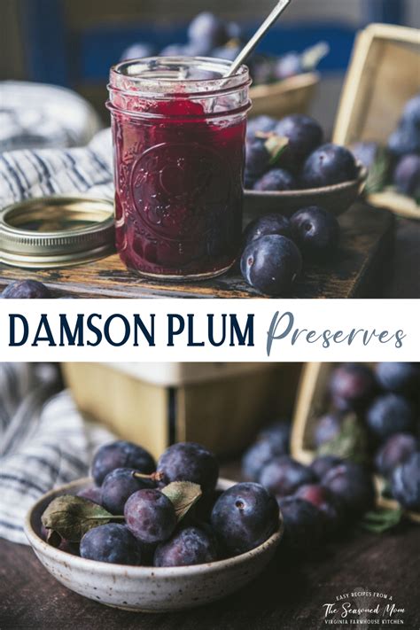 damson-plum-preserves-the-seasoned-mom image