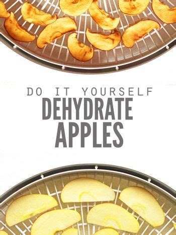 how-to-dehydrate-apples-and-make-apple-chips-easy image