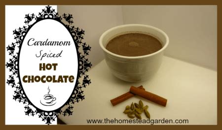 cardamom-spiced-hot-chocolate-recipe-the image