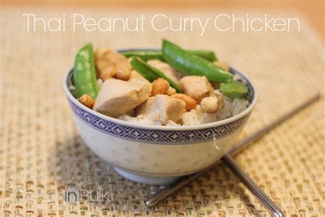 thai-peanut-curry-chicken-food-fun-family image