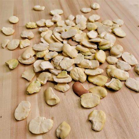 moroccan-bessara-recipe-dried-fava-bean-puree image