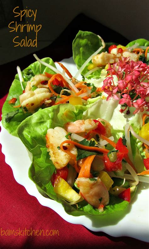 thai-shrimp-mango-salad-healthy-world-cuisine image