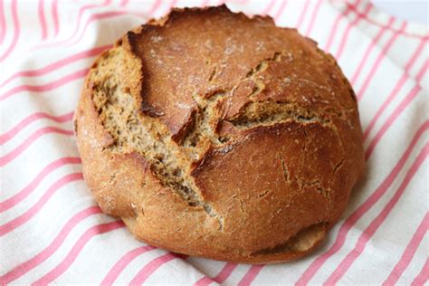no-knead-100-whole-wheat-bread-jenny-can image