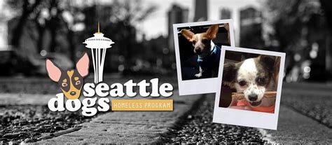 seattle-dogs-homeless-program-home image