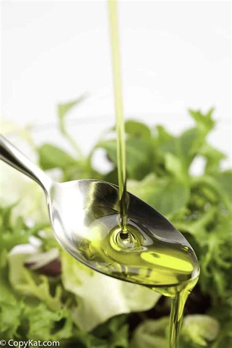 what-is-salad-oil-copykat image