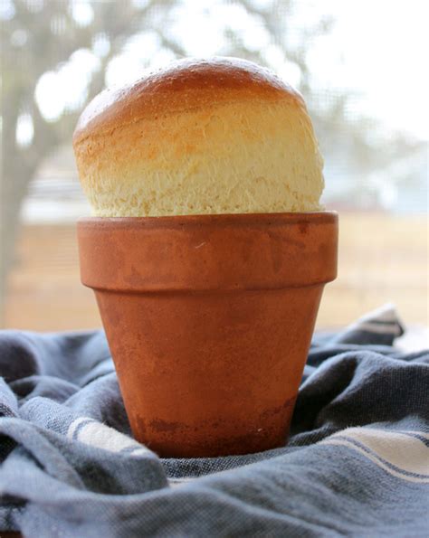 flower-pot-bread-or-is-it-flour-pot-bread-a-wonderland-of-words image