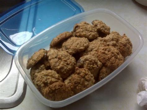 vanishing-oatmeal-raisin-cookies-by-judy-sparkrecipes image