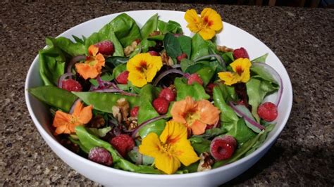 nasturtium-blossom-salad-yummy-yummy-baby image