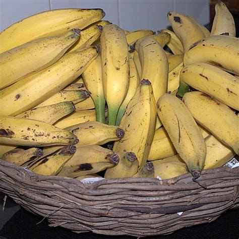 best-golden-banana-recipe-how-to-make-bananas-in image