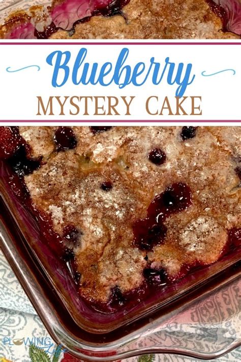 blueberry-mystery-cake-plowing-through-life image