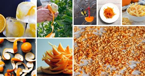 39-exciting-things-to-do-with-orange-peels-diy-crafts image