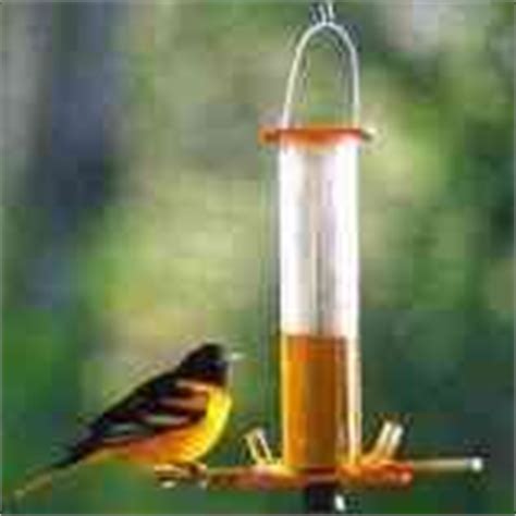 homemade-oriole-food-nectar-attracting-orioles image
