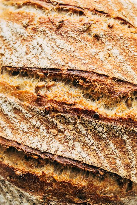 sprouted-grain-sourdough-bread-baked image