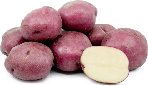 red-potatoes-information-recipes-and-facts image
