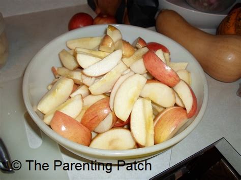baby-food-recipes-apples-and-squash-parenting-patch image