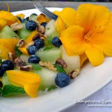 minted-honeydew-blueberry-walnut-salad image