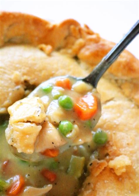 the-best-chicken-pot-pie-with-homemade-pie-crust-the image