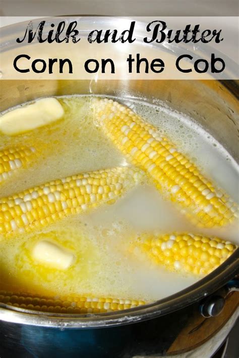 southern-style-milk-and-butter-boiled-corn-on-the-cob image