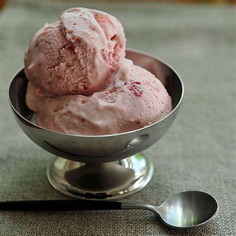best-fennel-ice-cream-recipe-how-to-make-ice image