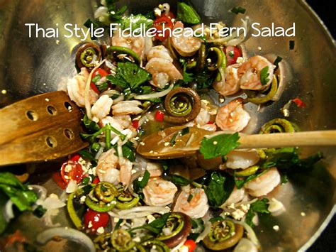 thai-fiddle-head-fern-salad-ยำฟดเดลเฮดเฟรนกง image