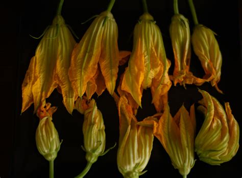 fried-squash-blossoms-with-goat-cheese-the image