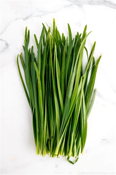 garlic-chives-just-one-cookbook image