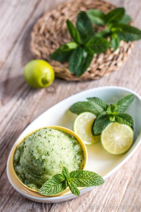 refreshing-low-carb-mojito-sorbet-oh-the-things-well image