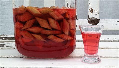 rhubarb-schnapps-easy-recipe-food-and-garden image