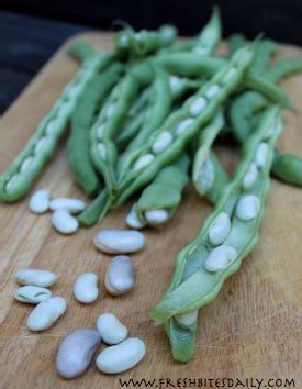 kentucky-wonder-pole-beans-fresh-bites-daily image